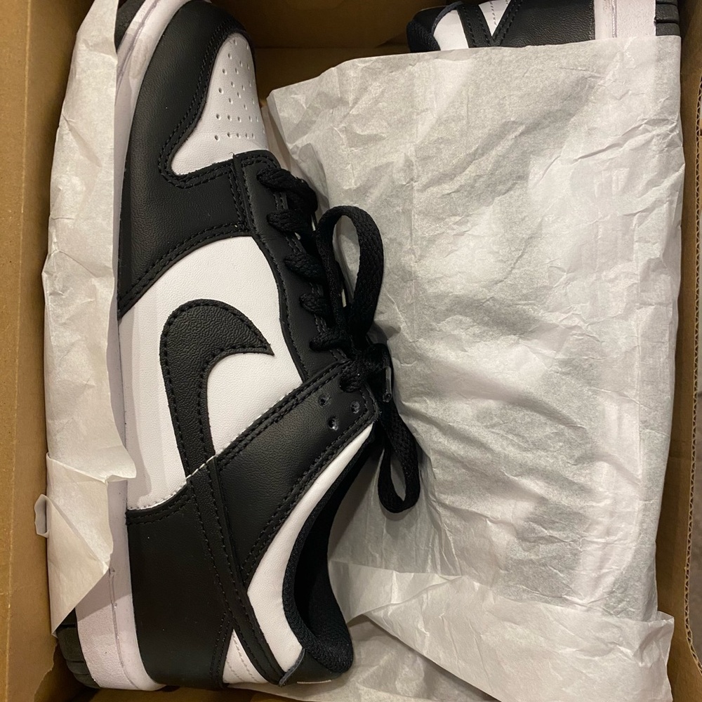 Panda Nike dunks